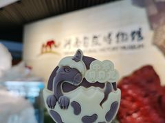 -河南自然博物馆