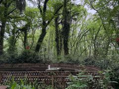 -西溪南古村落