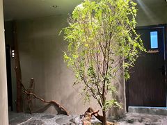 -森SPA·泰式按摩·精油Massage(宝安中心店)