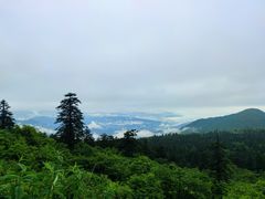 -峨眉山风景名胜区