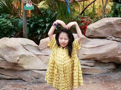 -杭州开元森泊度假乐园