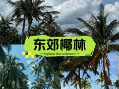 -东郊椰林