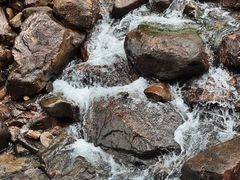 -广州白江湖森林公园