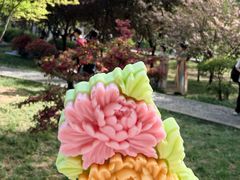 -洛阳市隋唐城遗址植物园