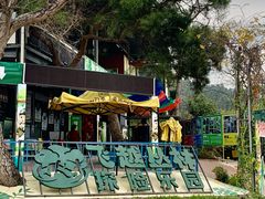 -芦仙山景区-飞越丛林探险乐园