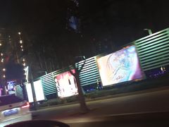 -枫花园汽车电影院(朝阳公园店)