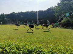 -广州长隆飞鸟乐园
