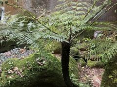 -赤水丹霞旅游区·佛光岩