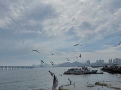 -星海广场