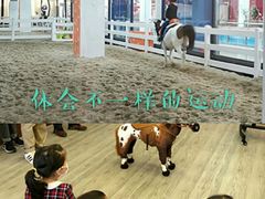 -骑乐马术(广州奥体优托邦中心)