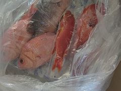 -马记伊源斋涮肉·清真菜(百子湾店)