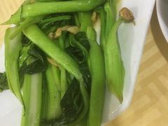 -水上鱼当家
