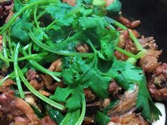 -华仔土鸡店(创意产业园店)