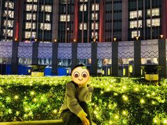 -影汇之星8字形摩天轮