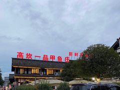 -高坎一品甲鱼庄(两河店)