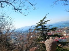 -信号山公园
