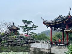 -顺峰山公园