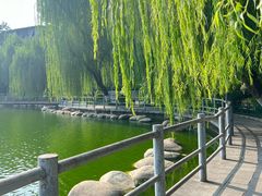 -莲湖公园