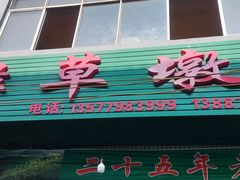 -绿草墩