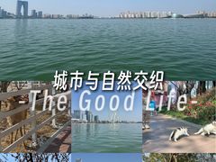 -金鸡湖桃花岛
