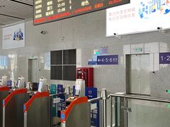 -深圳坪山站