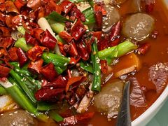 -新吉士·上海菜(浦东LCM置汇旭辉店)