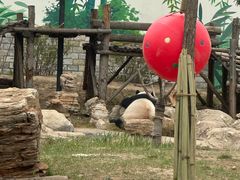 -大青山野生动物园