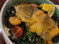-haxnbauer海森堡德国餐厅(深圳coco店)