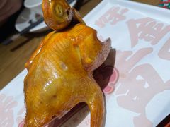 -大鸽饭(岗顶店)