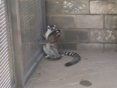 -石家庄市动物园