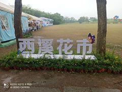 -西溪国家湿地公园