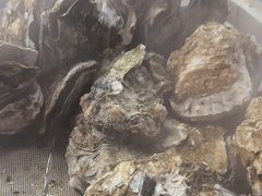 -福禧荟·海鲜自助