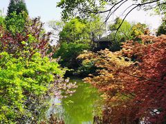 -桃花岛景观公园