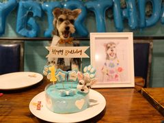 -百好乐宠物友好餐厅(朝外大街店)