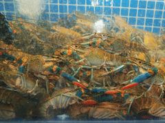 -星记小馆·小蓝龙·老南京砂锅菜(上海路店)