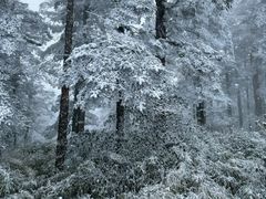 -瓦屋山景区