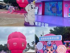 -海合安成都极地海洋公园