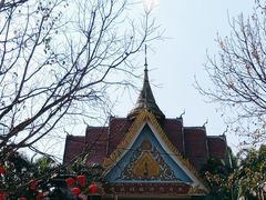 -西双版纳傣族园