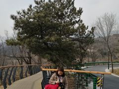 -白水寺森林公园