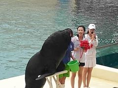 -秦皇岛乐岛海洋王国