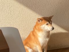 -Line来恩咖啡(石厦花园店)