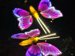 -雨花胜境
