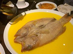 鸡油蒸风干东星斑-甄御•海鲜新青岛菜(麦岛店)