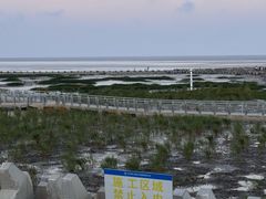 -南汇嘴观海公园