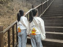 -天女山森林公园