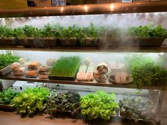 -鲜货俚鲜火锅(青果路店)