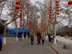 -解放人民公园