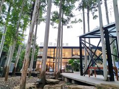-桉树林A coffee 森林餐厅(三圣乡店)