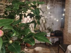 -隅cafe(傅厚岗店)