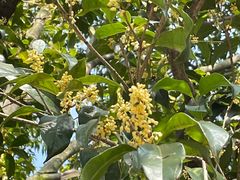 -INLOVE KTV(文一店)